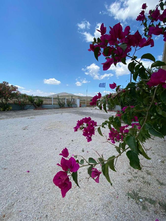 Leonidas Resort Ермиони Екстериор снимка